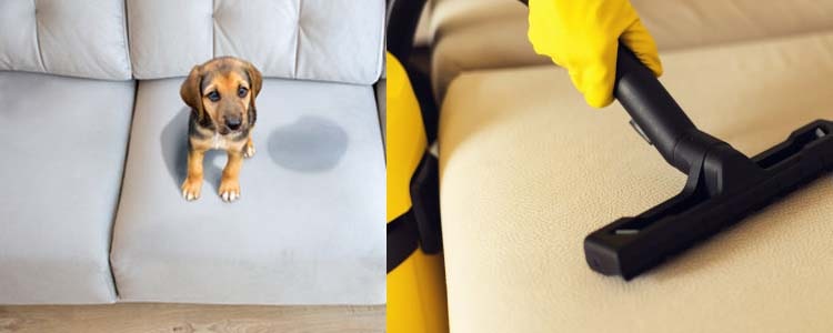 Awful Stains to Recover your Preferred Upholstery