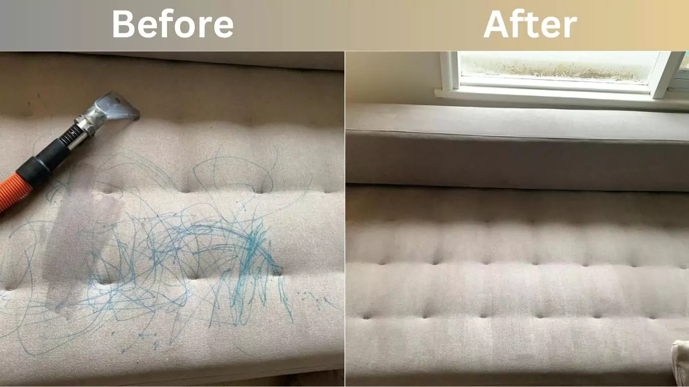 Before And After Couch Cleaning Result