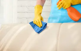 Couch Stain Removal