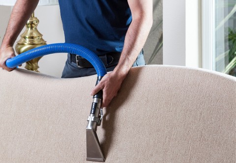 Mark Upholstery Cleaning Services