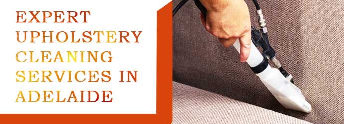 Upholstery Cleaning Caloote